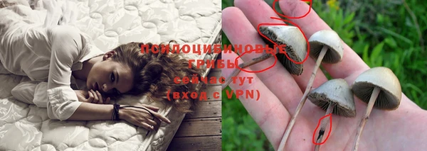 дмт Балахна